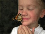 Butterfly kiss