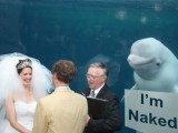 小夫妻跑水族馆结婚，结果旁边的鲸鱼火了