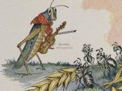 《The Ant and the Grasshopper》 中英阅读