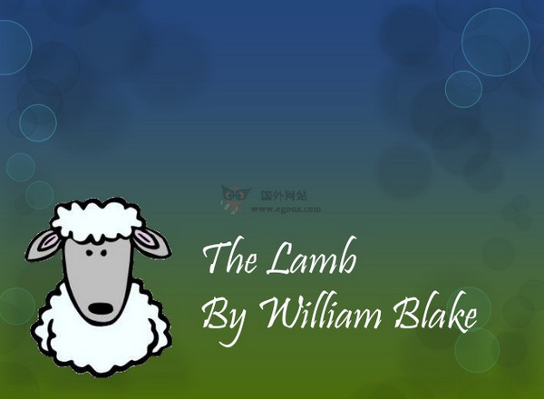 儿童诗歌:《The Lamb》羊羔双语阅读