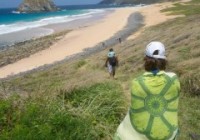 巴西这个旅游胜地只对新冠康复的游客开放Brazil's island idyll reopens to tourists – as long as they have had Covid-19