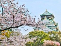 日本迎1200年来最早樱花季 或预示严重生态危机Japan just recorded its earliest cherry blossom bloom in 1,200 years