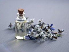 能够提升工作效率的7种香气7 scents to add to your office to boost productivity