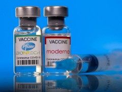世卫组织创建新技术中心 拟“复制”莫德纳疫苗供应低收入国家WHO works to spread COVID vaccine technology to more nations
