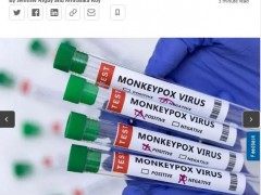 世卫组织将开会评估猴痘疫情！科学家：得改名